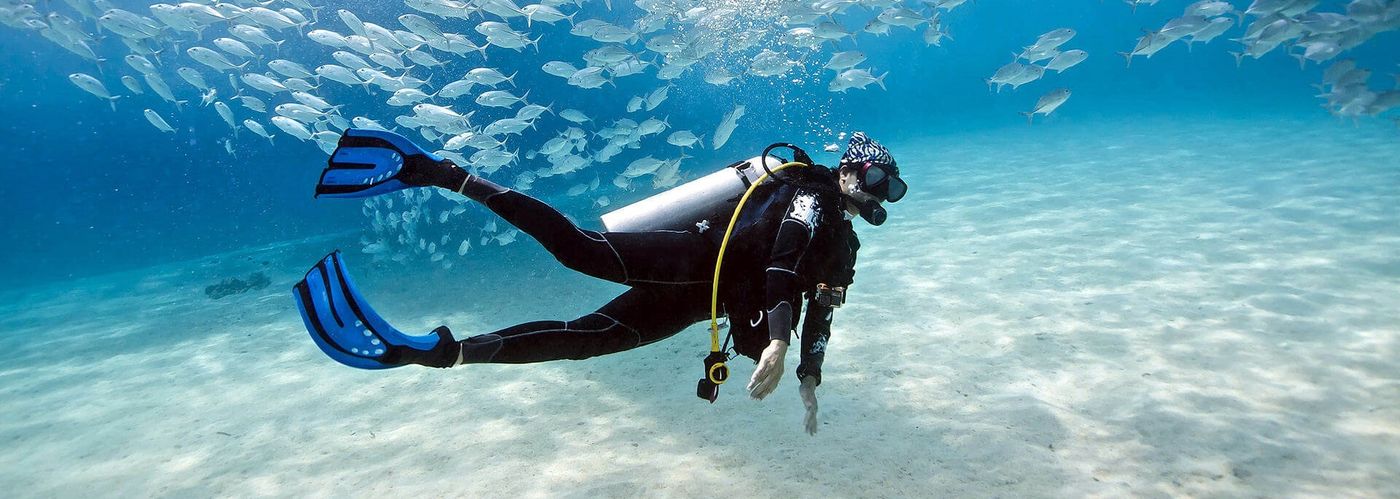 Diving & Expeditions
